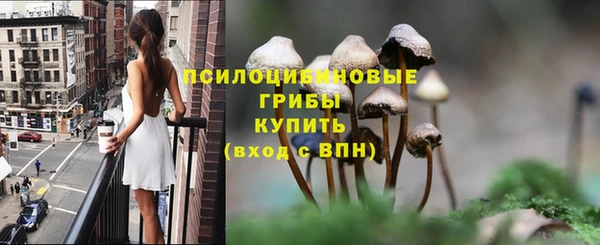 дурь Медвежьегорск