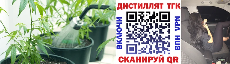 Купить  Фурманов  ТГК Wax 